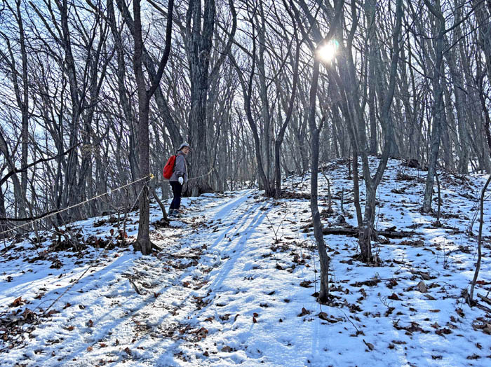 photo7登山道はカチカチに凍っている