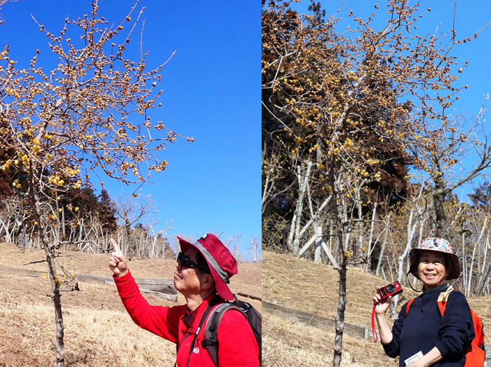 photo11真ん中赤いよ