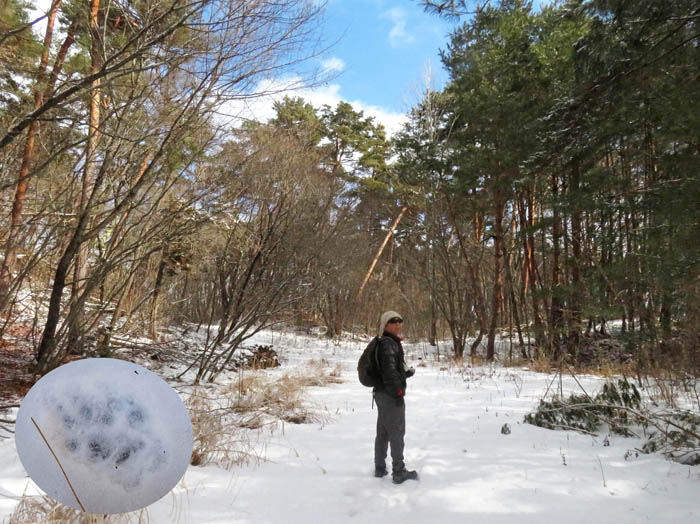 photo9六号古墳下