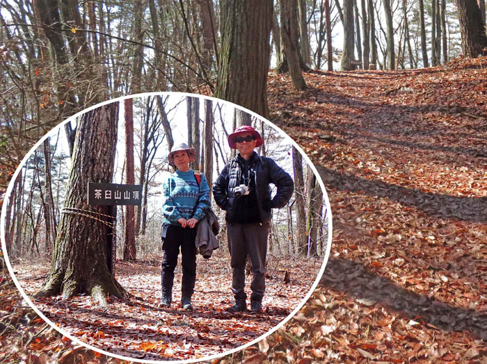 photo12茶臼山山頂