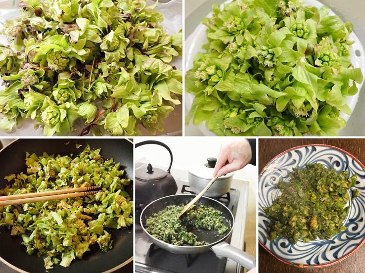 photo16蕗味噌が美味しい季節