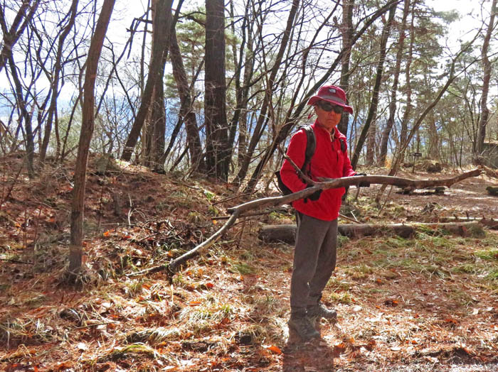 photo6落ちた枝を片付ける