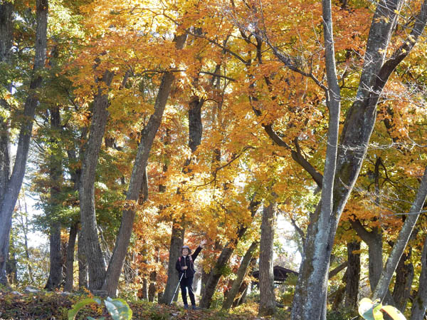 photo：西の肩から山頂を見る・葛山