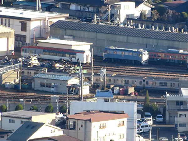 photo：キノコ・地附山