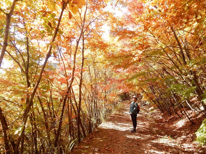 photo：少し早めの紅葉・地附山