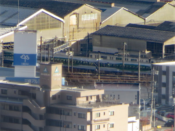 photo：キキョウの実・地附山
