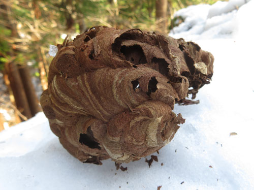 photo：雪が残る山道　茶臼山