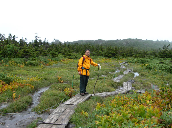 photo：湿原を歩く・西吾妻山登山