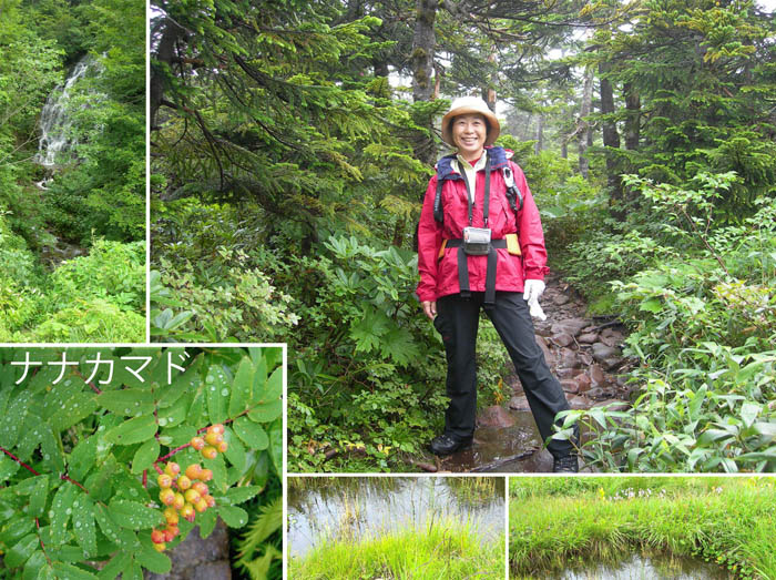 photo：針葉樹の森を越えて・西吾妻山登山
