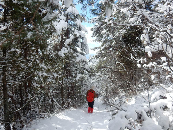 photo：どこもかしこも雪・地附山