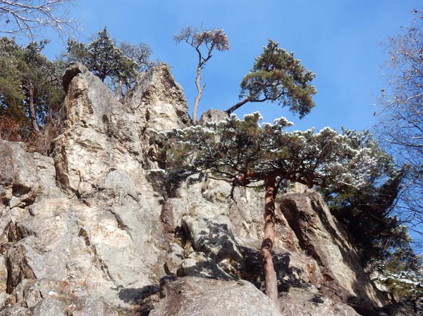 photo：高社山・地附山パワーポイントから