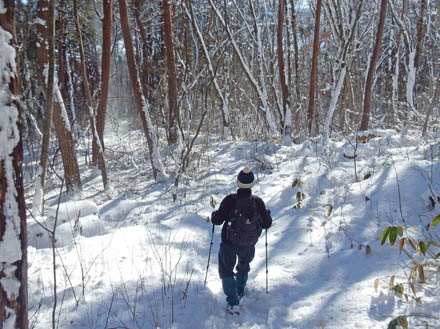 photo：木から落ちる雪煙・大峰山