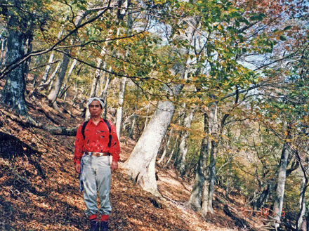 photo：稜線の美しい紅葉・丹沢山