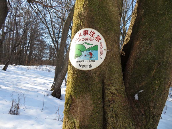 photo：陣馬平