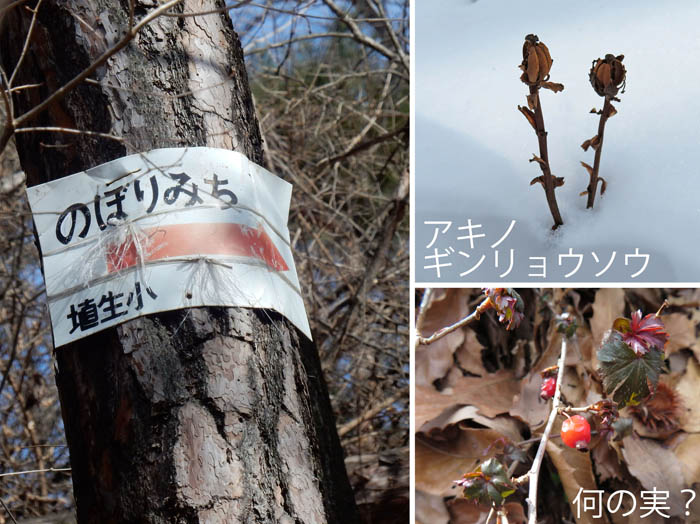 photo：登山道の標識「のぼりみち」,アキノギンリョウソウ,赤い実・有明山登山道