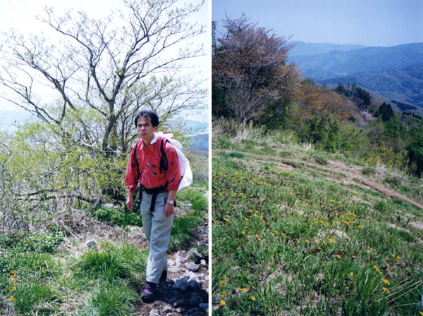 photo 登り始めは緑豊か・伊吹山