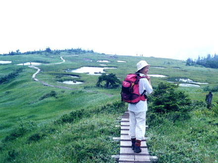 photo 広い山頂湿原・苗場山