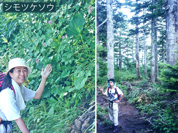 photo 登り始めの風景を楽しむ・苗場山