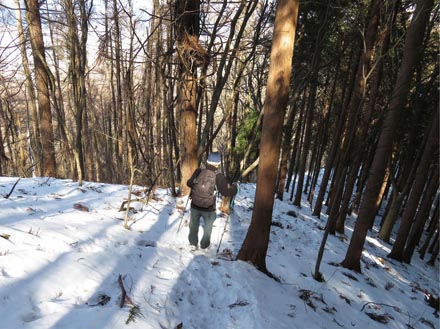 photo：雪の稜線をどんどん降る・天城山
