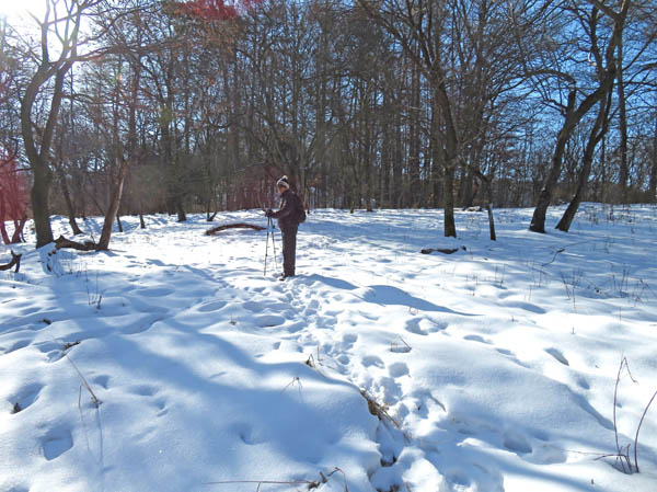 photo：陣場平はまだ一面の雪・斎場山,天城山