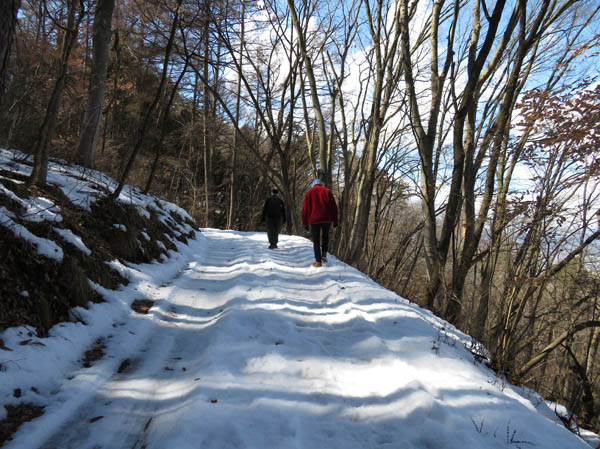 photo：結構残っていた斎場山登山道