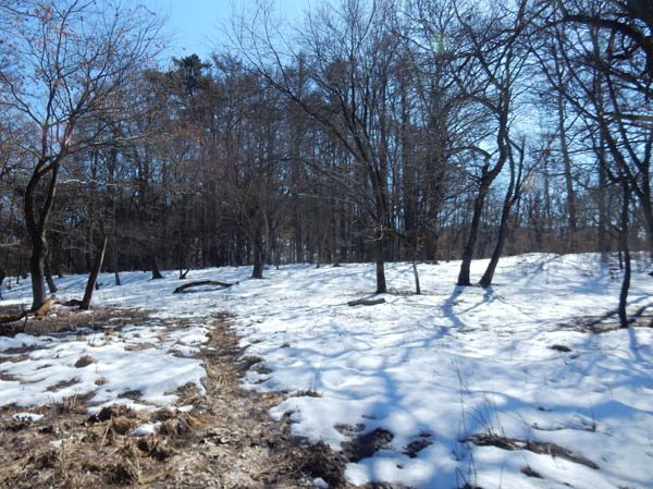 photo：雪が残る陣馬平