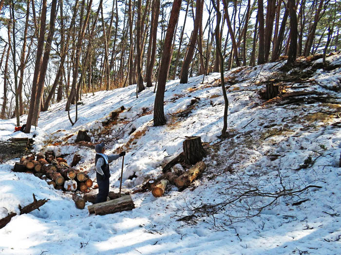 photo：一人で登山道整備・地附山