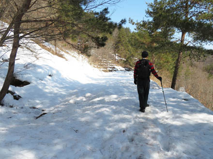 photo：パワーポイントは真っ白・地附山登山道