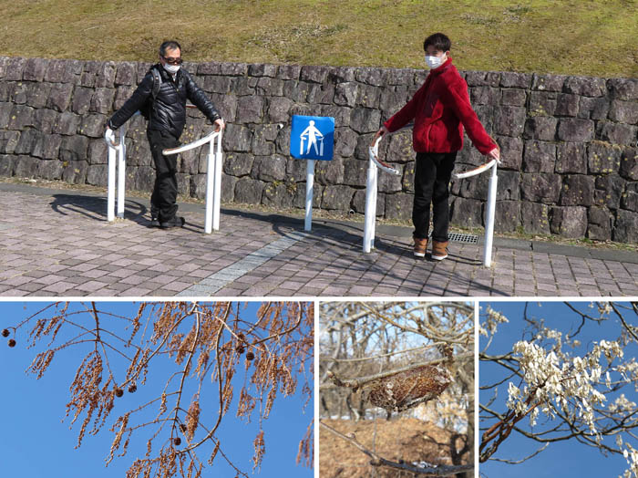 photo：昭和の森公園・長野市