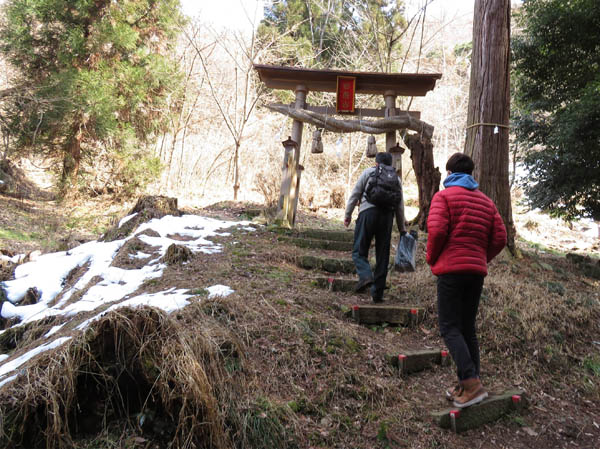 photo：自在山神社の鳥居・戸倉セツブンソウ群生地