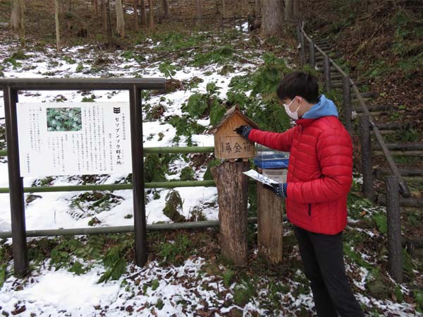 photo：戸倉セツブンソウ群生地