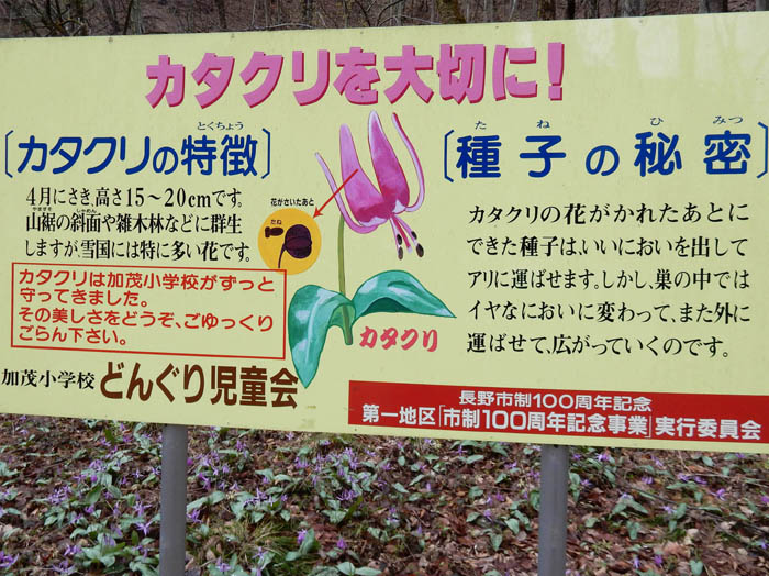 写真2児童会の看板