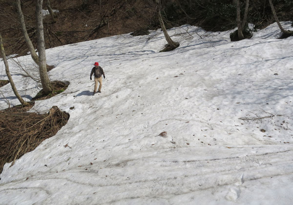 写真・雪原を歩く