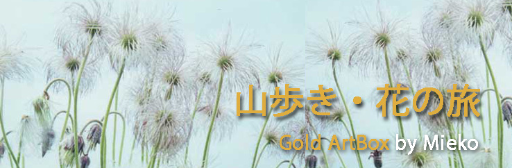 「山歩き・花の旅」Click=戻る