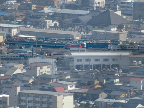 photo：河津桜・長野市大門町