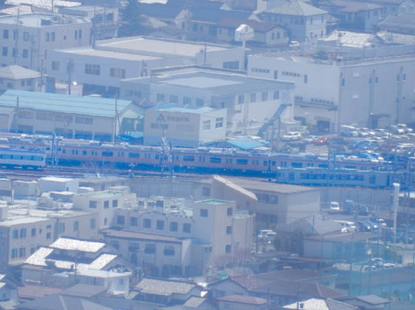 photo：ツノハシバミ雌花・地附山