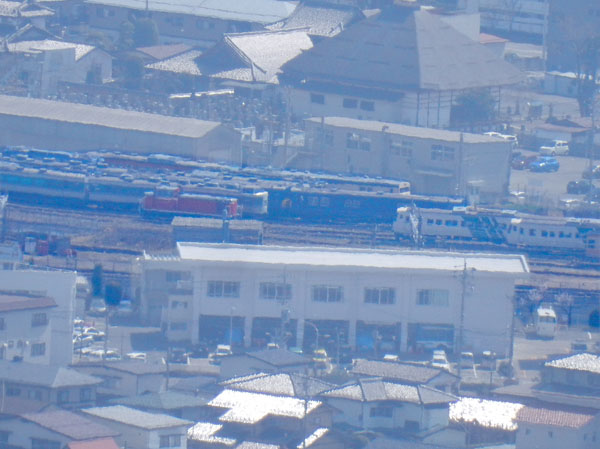 photo：ツノハシバミ雌花・地附山