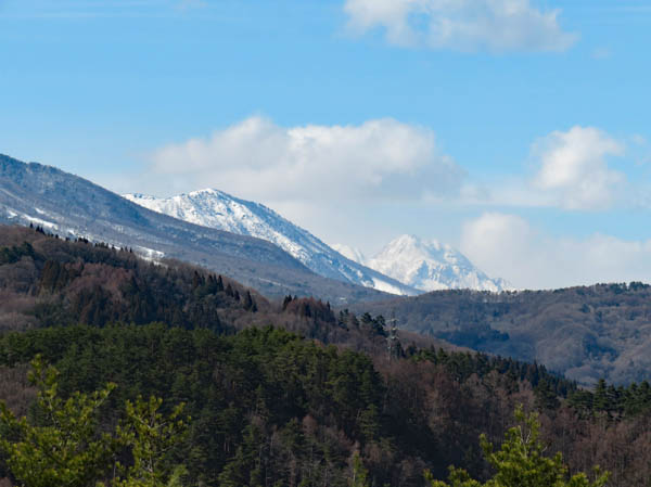 photo：雪が降った裏山・大峰山