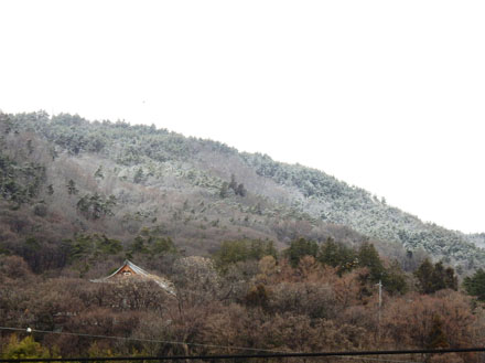 photo：朝の地附山（家の２階から）