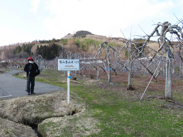 photo：りんご畑の中を登る・髻山