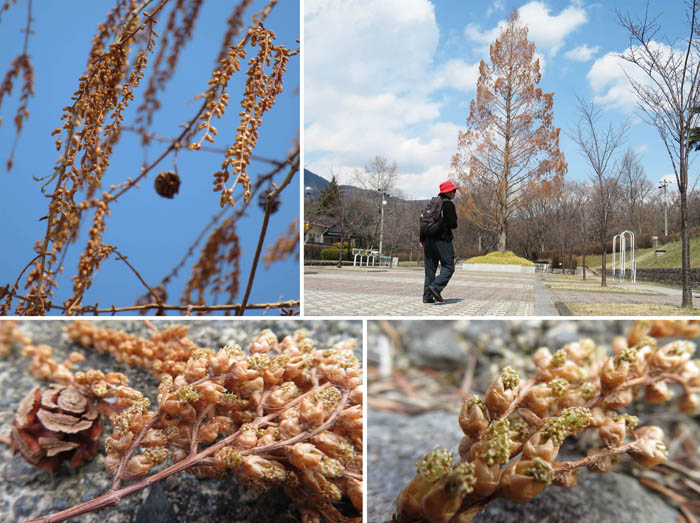 写真：山頂に備えられているノート・昭和の森公園