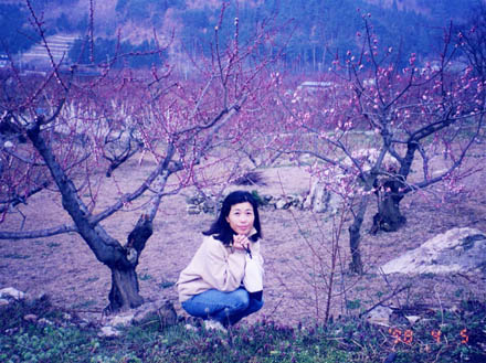 photo：杏の里・千曲市森