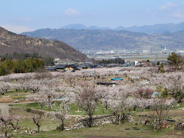 photo：窪山展望台からあんずの里・千曲市森