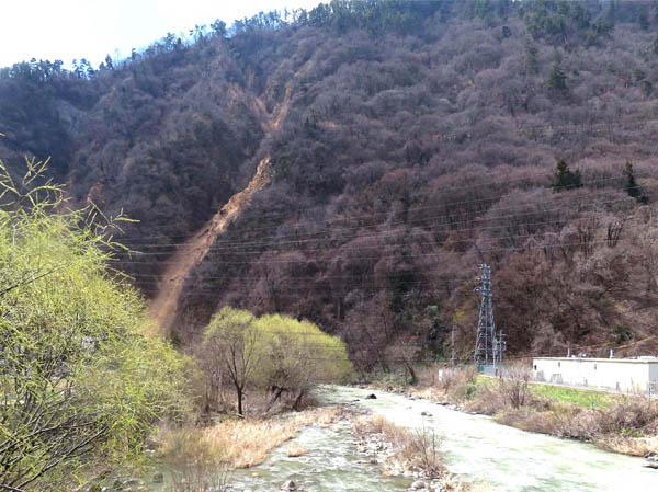 photo：裾花川沿いに柳の新芽