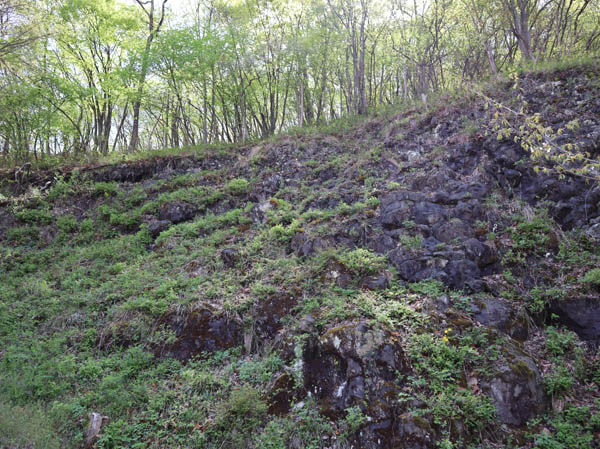 photo：枕状溶岩・井上山