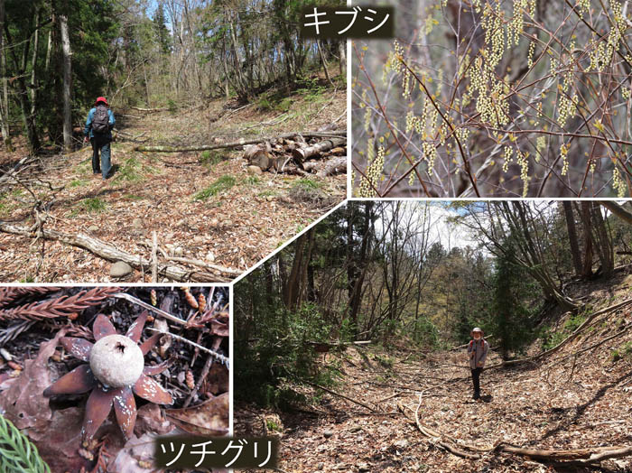 photo・荒れた古い道・大峰山から地附山