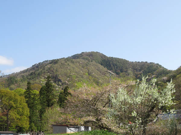 photo：城跡まで延々と続く階段