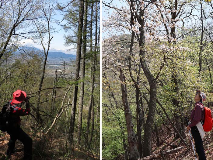 photo：花と遠望と・井上山