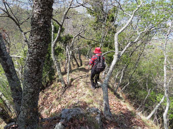 photo：急な痩せ尾根を慎重に降る・井上山