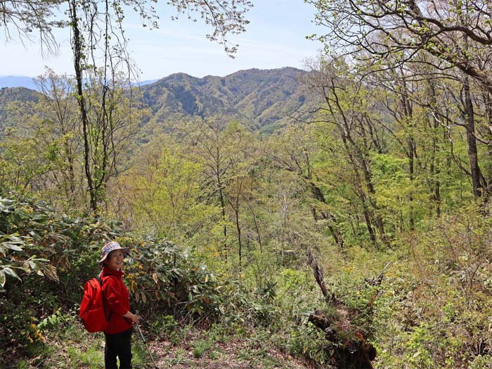 photo：新緑の葛山西側の堀を下る